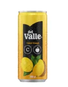 Suco Del Valle Néctar Manga e Maçã 290ml